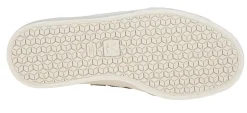 Campo CP052347-17