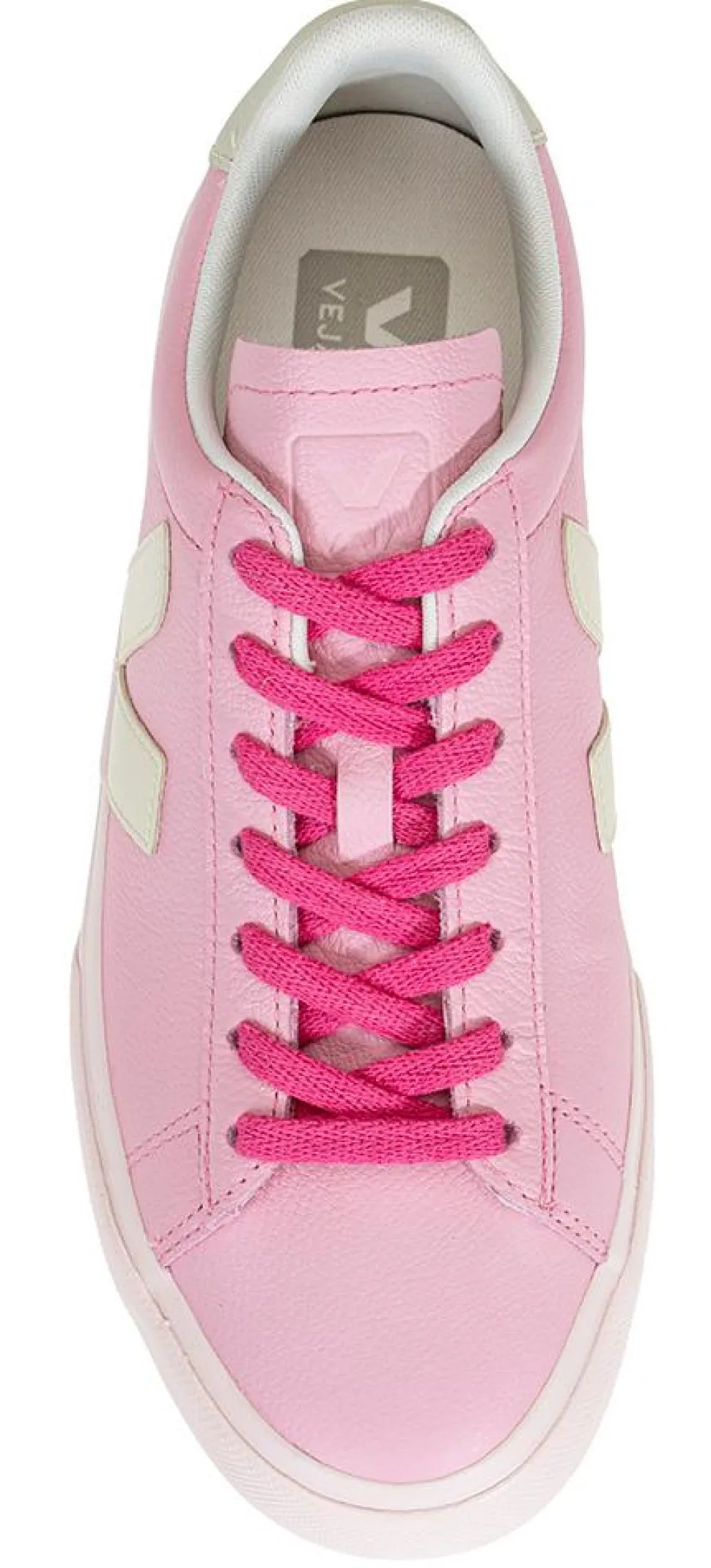 Campo dame CP0521403 rosa