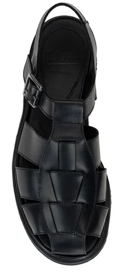 Iberis 164612-00