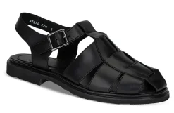 Iberis 164612-00