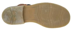 Iberis 164602-21