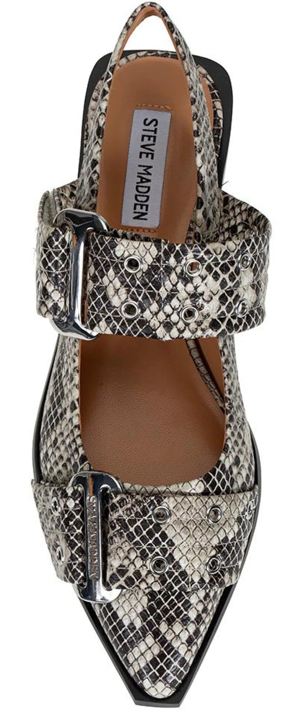 Pensko Grand Ave snake