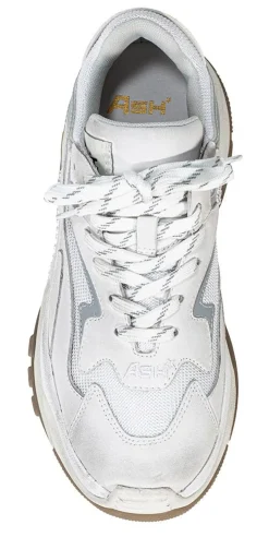 Sneakers Addict09