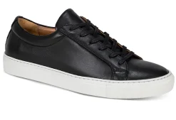 Sneakers Pontifi herre sort